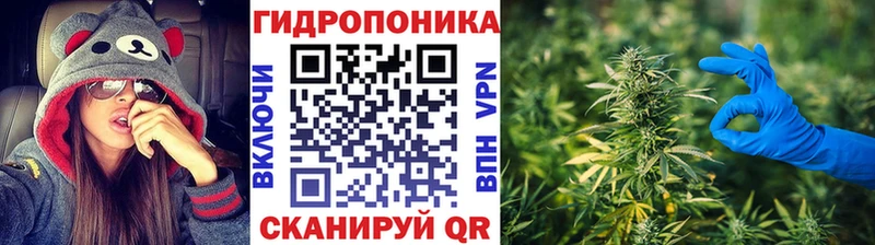 Бошки Шишки THC 21%  цена наркотик  Воскресенск 
